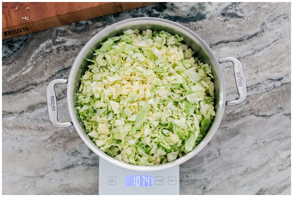 shredded cabbage being weighed to make sauerkraut