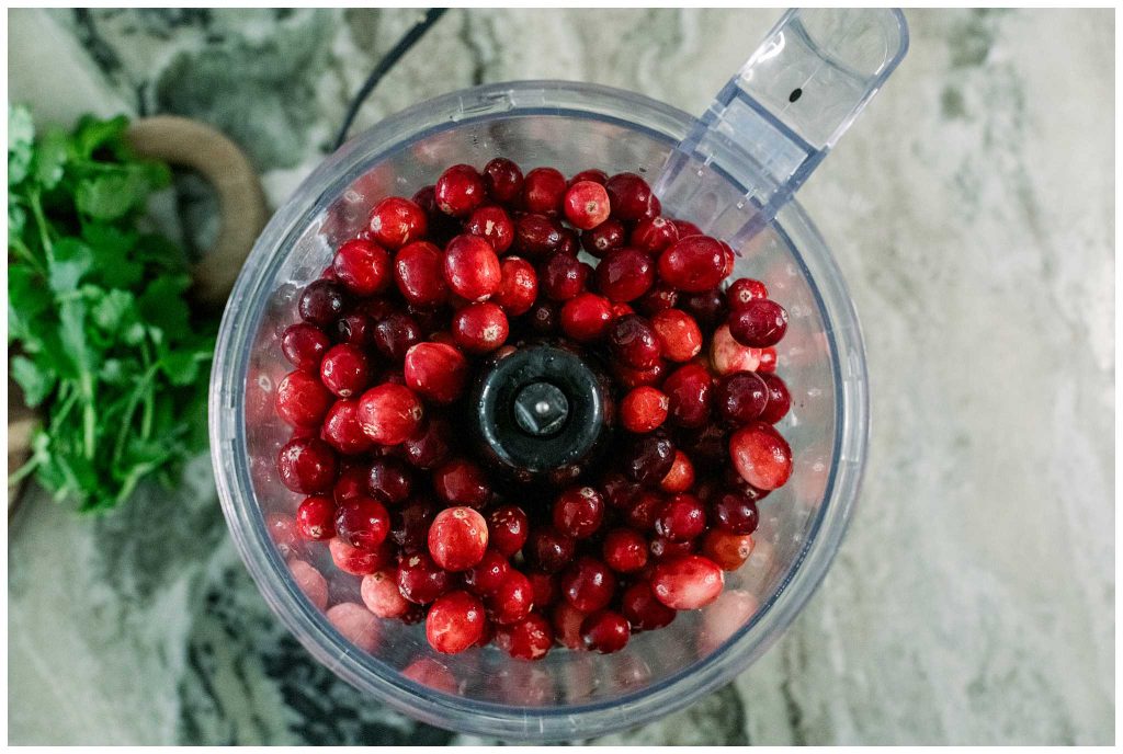 Food Processor Cranberry Salsa