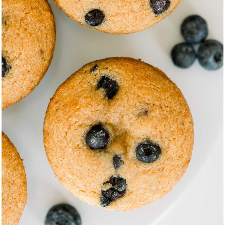 Blueberry Muffins Made With Fresh Milled Flour