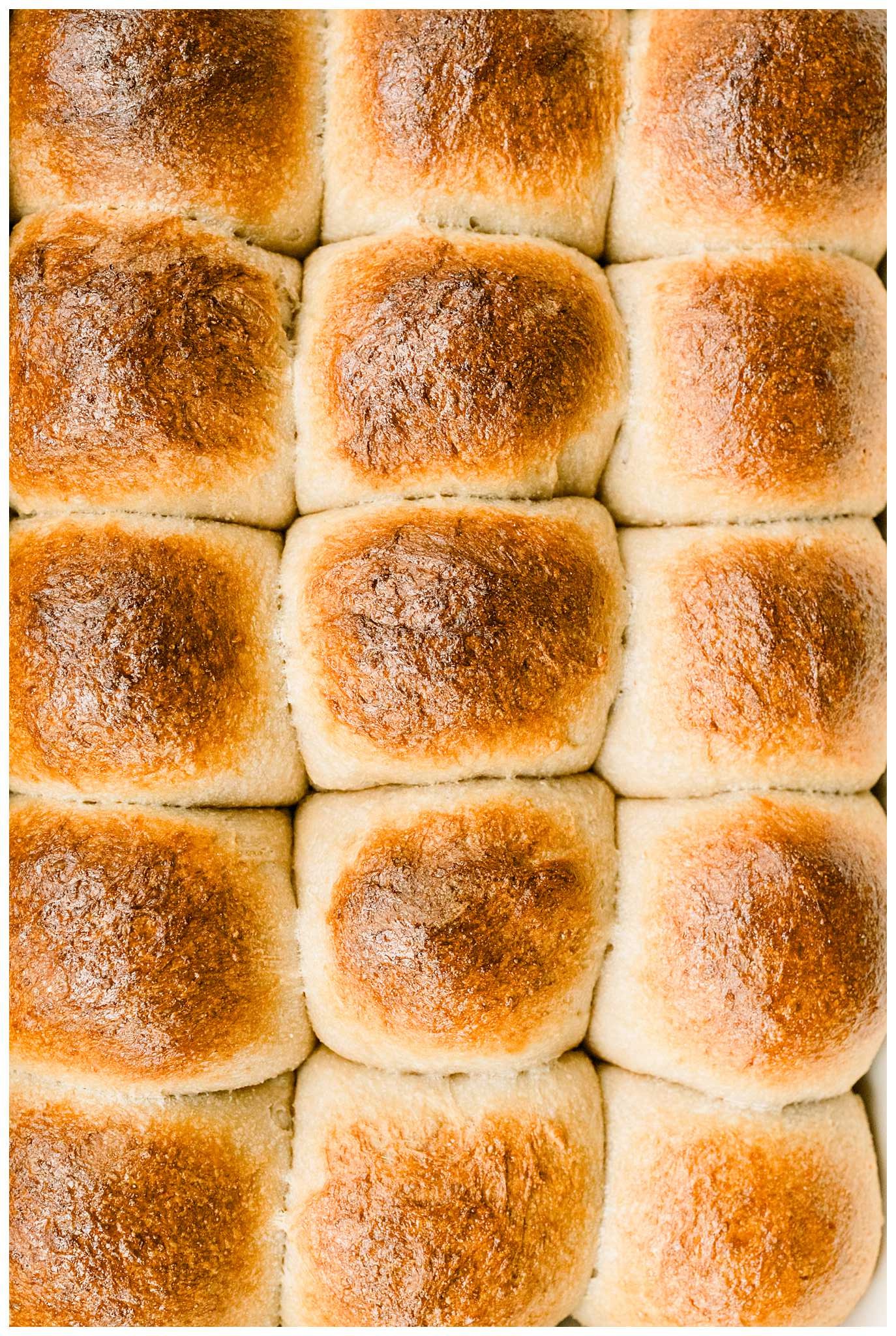 Sourdough Dinner Rolls