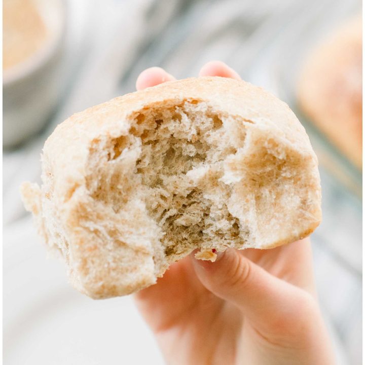 Freshly Milled Dinner Rolls