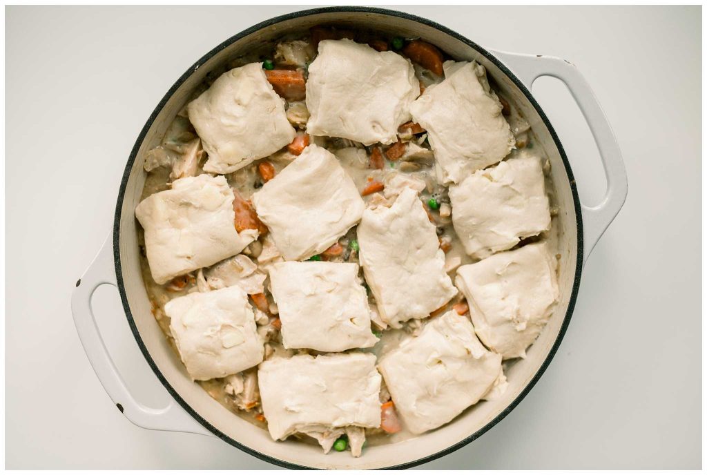 Biscuit Turkey Pot Pie